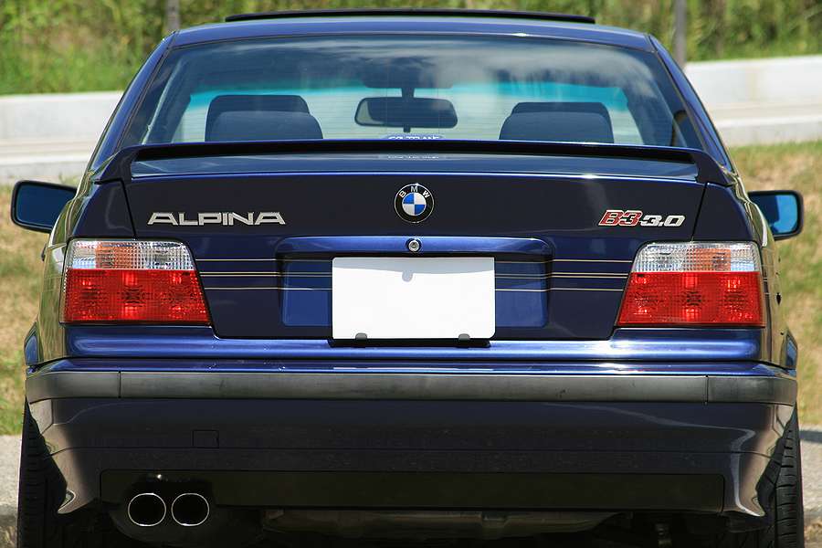 alpina 100